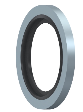 [CFT21016] Junta Metal Buna BSP 1" BSP